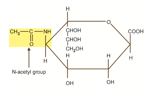 Monosaccharide Derivatives: Structure of sialic acid or NANA.